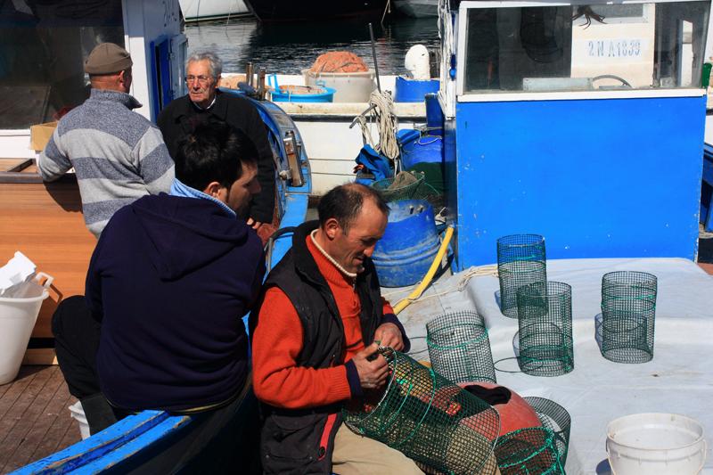1-14 marzo 2010.jpg